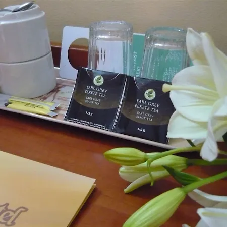 酒店 大西洋酒店